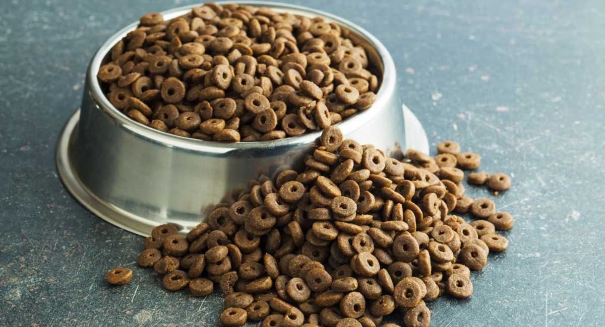 The Best Dog Food For Pitbulls 5 Top Products Natural Puppies