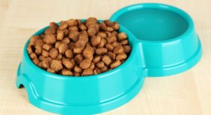 The Best Dog Food for German Shepherd Dogs