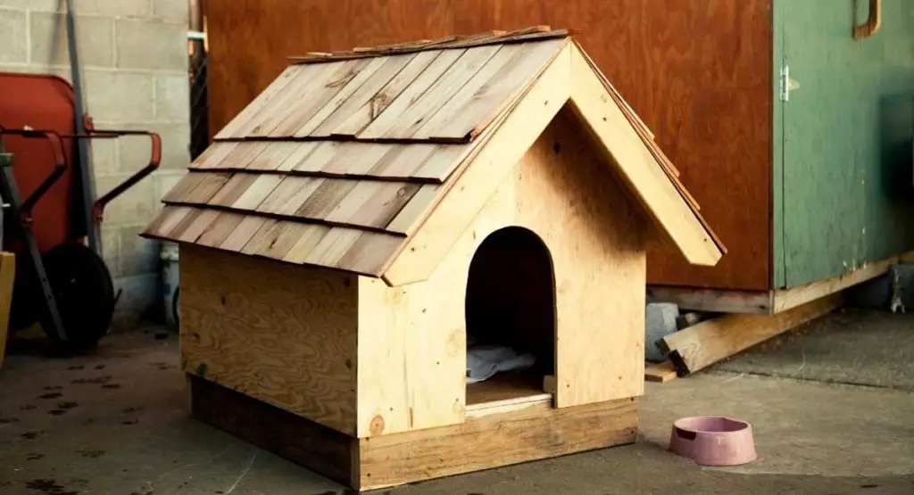 Everything You Need to Know About Dog House Insulation in 2021