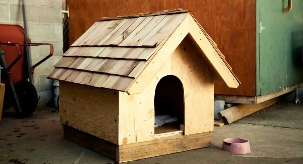 Everything You Need to Know About Dog House Insulation in 2021 - Natural Puppies