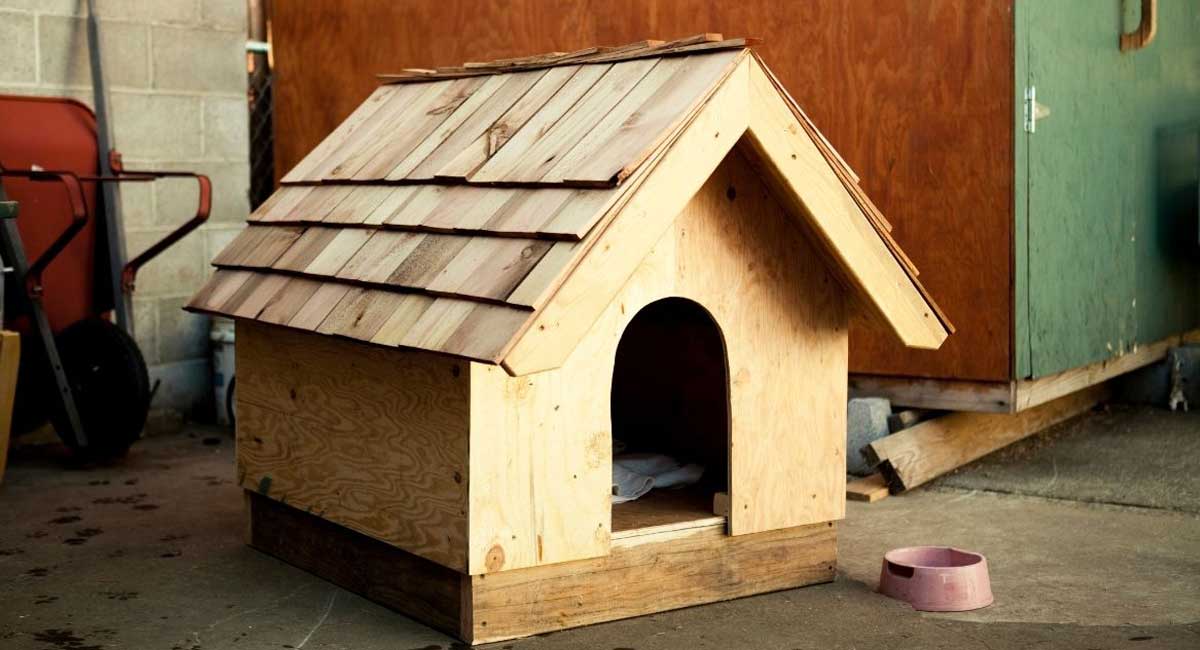 Everything You Need to Know About Dog House Insulation in 2021