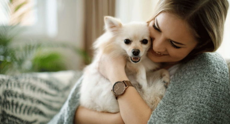 Dogs And Cuddles: The Science Behind Why They Love It - Natural Puppies