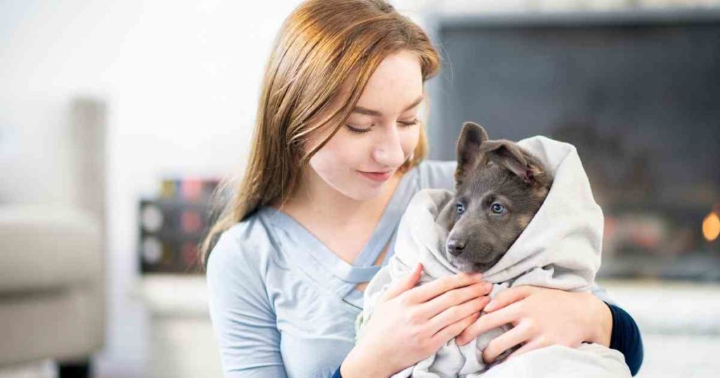 How to Keep Puppies Warm The Ultimate Guide