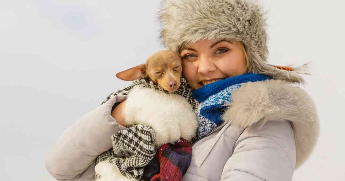 warming a puppy