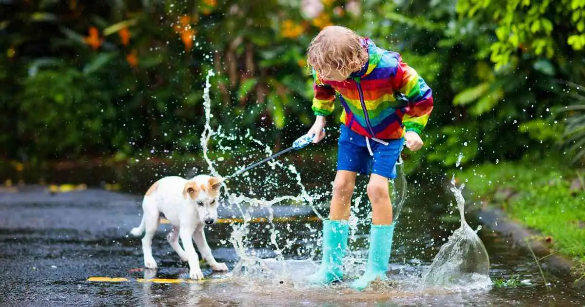 boy and dog playing in the puddle